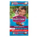 PUPPY CHOW TENDER Y CRUNCHY PURINA 18.1KG