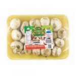 CHAMPI?ONES AL NATURAL RENACER 270GR