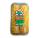 MAIZ DULCE EL CAUJARAL 2UND