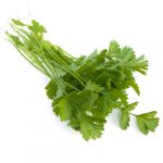 CILANTRO OLM 50GR
